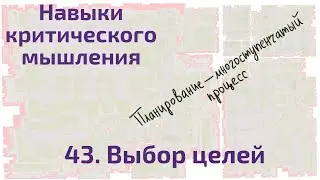 43 Выбор целей
