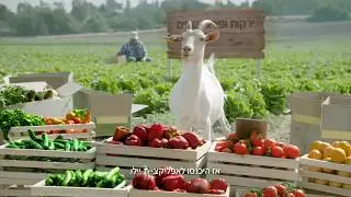מירב מסבירה: למה ילדים לא אוכלים ירקות ופירות?