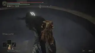 [Elden Ring] More Skadoosh fragments
