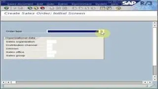 How to Create a SAP Standard Sales Order