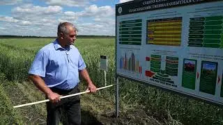 Организация первичного семеноводства