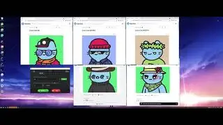 NFT Bidding / Bid Bot Opensea - Time Lapse Reveal