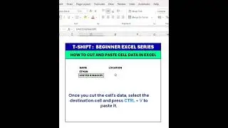 Excel for Beginners: Cut & Paste Cell's Data
