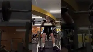 Preacher Curls