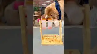 🐾Give your pup the gift of fun with Loobani dog feeder puzzle toys today!