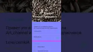 ТГ КАНАЛ