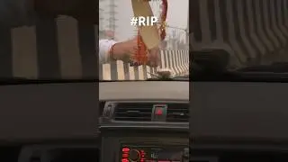 नन्ही चिड़िया कार के शीशे से टकरा कर मर गई 😔😔😢 #RIP