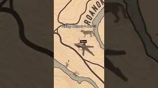 Special Item Locations in Red Dead Redemption 2 - 