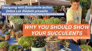 Behind the Scenes at the SDCSS Part 3: Why You Should Show Your Succulents