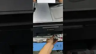 canon g4000 reset ink pad support code 5b00