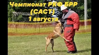 БРР 1 августа 2021