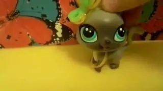 Petshop петшопы Дарья КОСМОСТАР