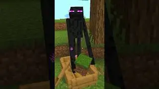 Command Block Survival