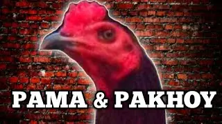 Choose Pama Chicken or Pakhoy ⁉️