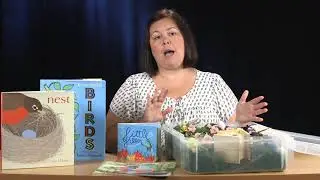 Bird Sensory Bin for Building Language Skills