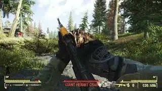 Fallout 4 Pine Forest - No Vanilla Trees