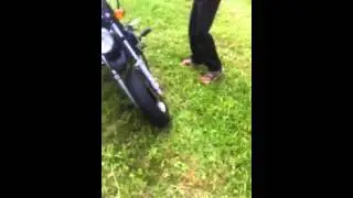 Motor monkey 2013