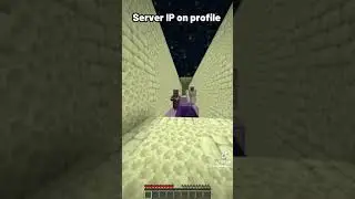 Minecraft Villager Chase 3