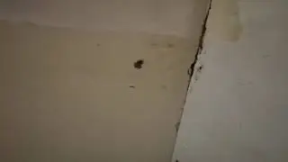 Потолок.