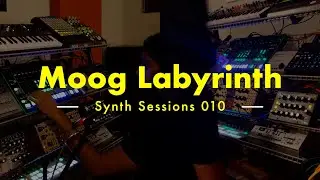 Moog Labyrinth Techno / House Jam feat. TR8 & Vocals | SS010