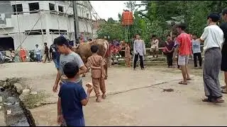 SUASANA IDUL ADHA DI MASJID MIFTAHUL JANNAH | KBB