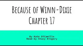Because of Winn Dixie, Chapter 17