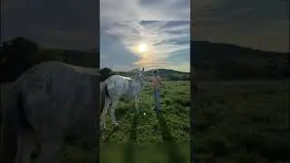 Let em talk like they know us 🎶 #maddoxbatson #maddox #harper #harperzilmer #newmusic #xsonourhands
