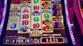 WINNING BIG WITH A 4 COIN TRIGGER ON BUFFALO IN BILOXI MISSISSIPPI