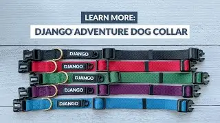 Learn More: DJANGO Modern, Durable, and Stylish Adventure Dog Collars