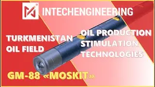 Wells matrix stimulation technology with hydro acoustic oscillator GM-88 MOSKIT at BarsaGelmes field