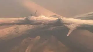 Catfish Log