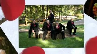 Creative Shots Weddings