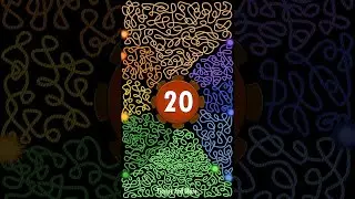 20 Second Timer Bomb | 💣 Colored Wicks 💥