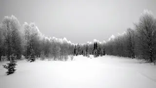 Зимой в лесу(Пятлин-Печора)