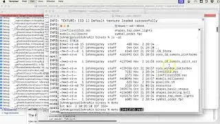 How to use Raylib in Lazarus Free Pascal with Ray4Laz on Mac M1