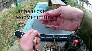 Апрельский мормышинг.
