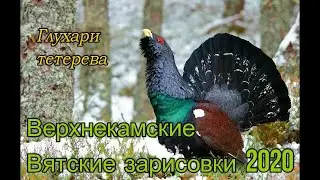 Вятские глухари для партизан СССР и России