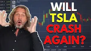 Will TSLA Crash Again?