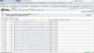 BugTrackerVideo