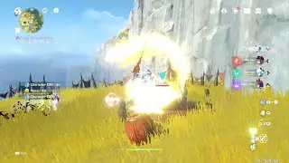 Genshin Impact - Pudgy Pyrotechnicians (43)