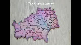 Гомельский район.  Литературная эстафета