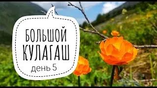 как сходить в БОЛЬШОЙ КУЛАГАШ (день 5) / Дождливая дневка / Флора Горного Алтая