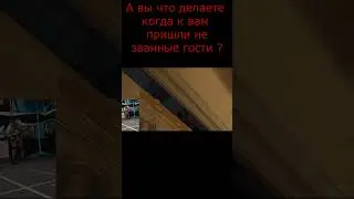 А вы что делаете когда к вам пришли не званные гости ?
