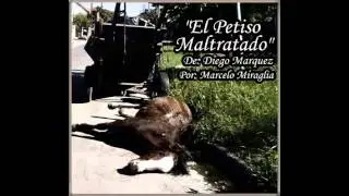 MARCELO MIRAGLIA - 