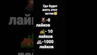 где будет жить этот котик?