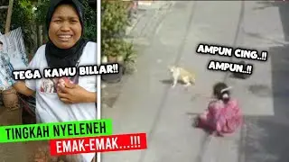 Emak-Emak Vs Kucing Oren..!! Kumpulan Tingkah Nyeleneh Emak-Emak #7