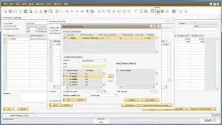 Inventory Counting in SAP Business One 9.0