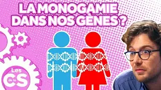 Is monogamy in our genes? - Science Chronicles