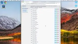 Student Blogs