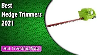 Best Hedge Trimmers 2022